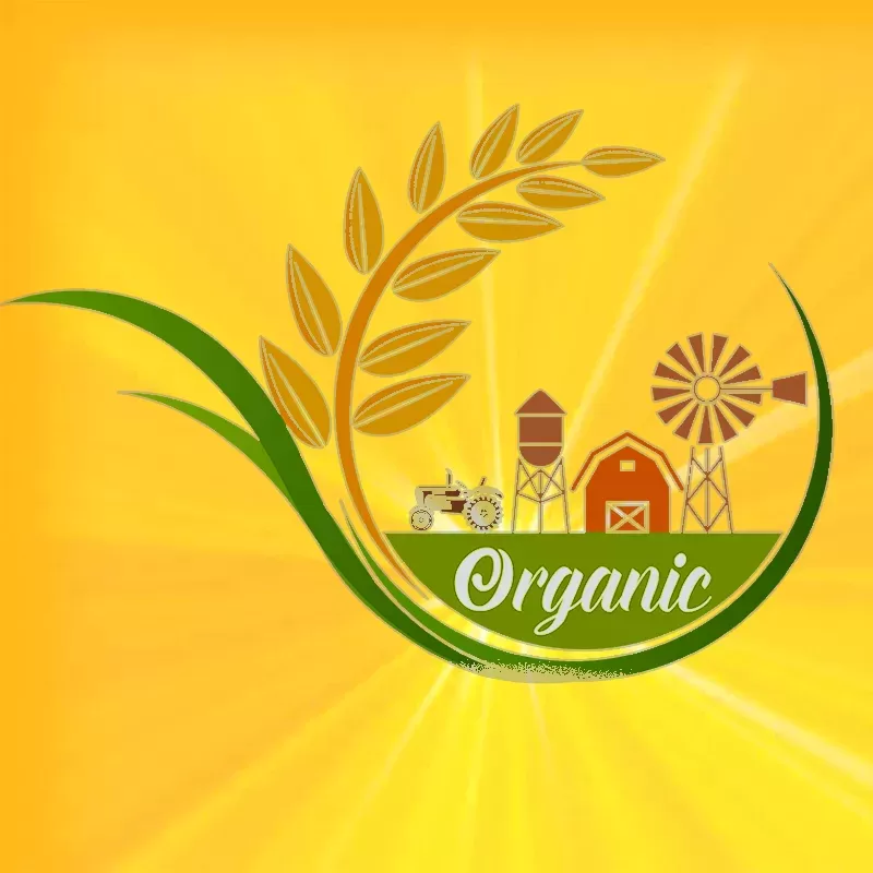 Organic Diatomaceous Earth Food Grade