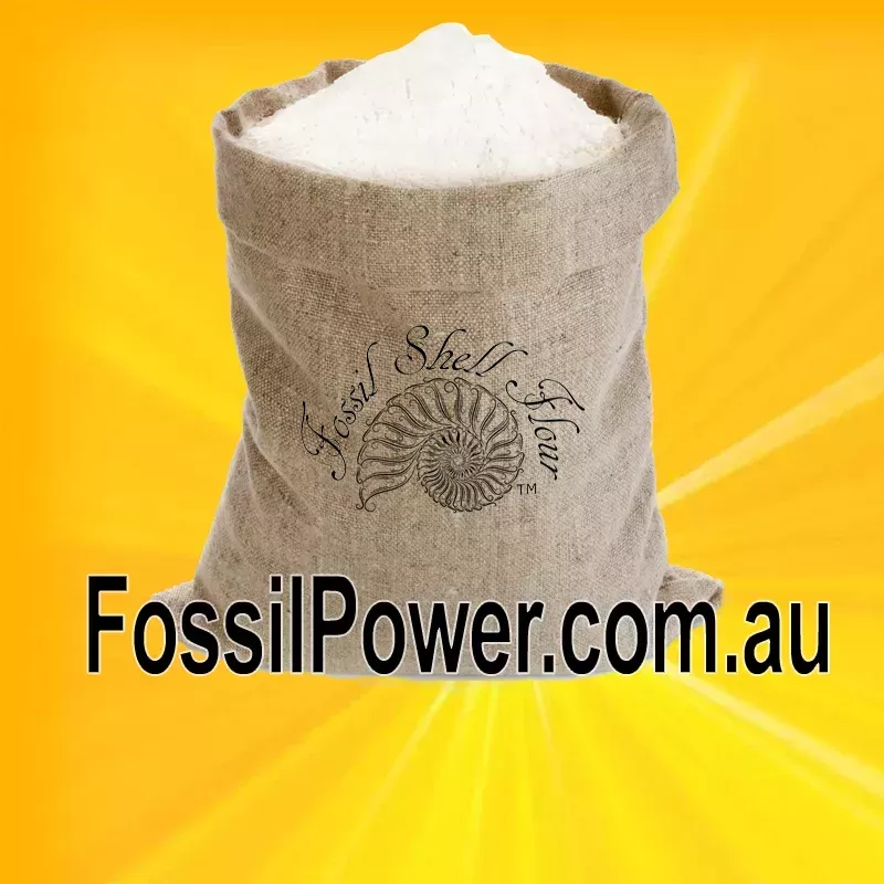 Diatomaceous Earth Bag