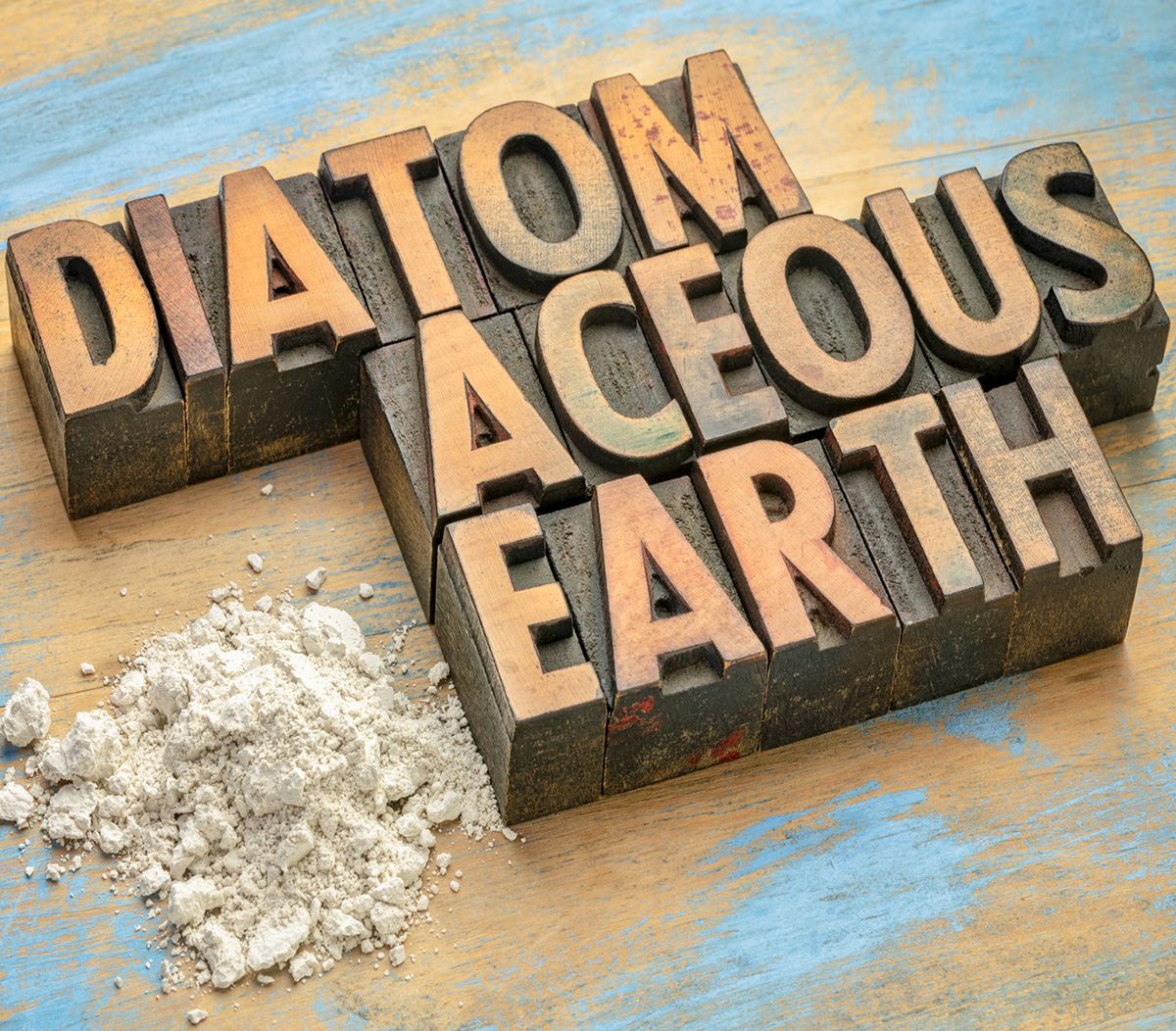 Diatomaceous Earth