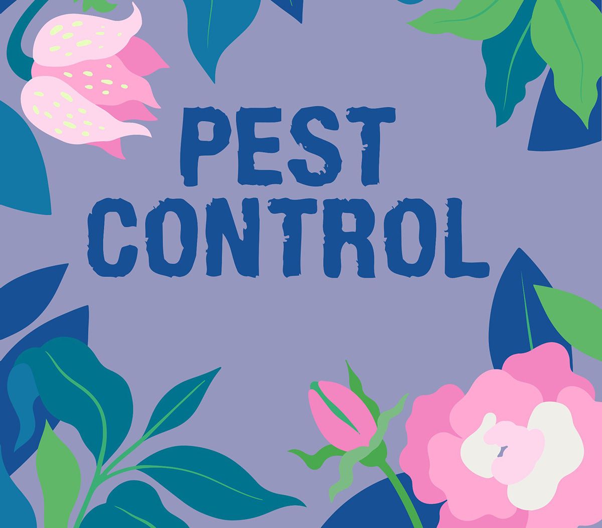 Diatomaceous Earth for Pest Control