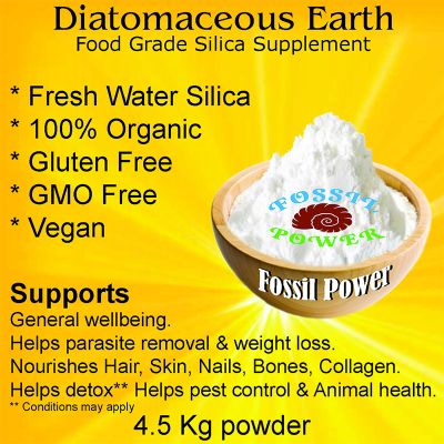 How to use Diatomaceous Earth