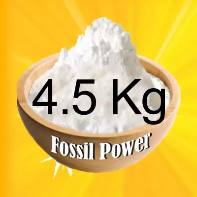 Diatomaceous Earth