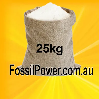 How Diatomaceous Earth Works
